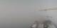 Mürren 16.03.2025 16:59