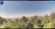 Gorga 05.07.2025 16:18