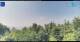 Gorga 14.06.2025 16:18
