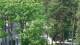 Jurmala 08.06.2025 16:18