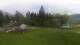 Cordon 08.05.2025 16:18