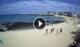 Corralejo (Fuerteventura) 08.06.2025 16:19