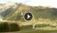 Livigno 09.07.2025 16:19