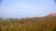 Zuydcoote 30.04.2025 16:19