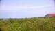 Zuydcoote 14.06.2025 16:19