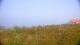 Zuydcoote 29.04.2025 16:19