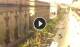 Floriana 09.06.2025 16:19