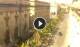 Floriana 05.07.2025 16:19