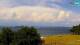 Izola 04.07.2025 16:19