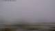 Sumburgh (Shetland) 14.06.2025 16:19