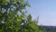 Melle 17.04.2025 16:20