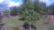 Bad Zwischenahn 27.05.2025 16:20