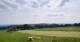 Grebenhain 14.06.2025 16:20