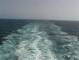 Costa Diadema 30.04.2025 16:20