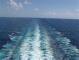 Costa Diadema 17.03.2025 16:21