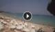 Porto-Vecchio (Corsica) 14.06.2025 16:21