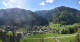 Donnersbachwald 29.04.2025 16:22