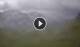 Syðrugøta 01.06.2025 16:22
