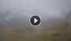 Syðrugøta 29.04.2025 16:22
