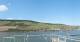 Bingen am Rhein 09.05.2025 16:22