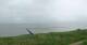 Nebel (Amrum) 08.06.2025 16:23