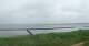 Nebel (Amrum) 05.07.2025 16:23