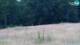 Pamparato 15.07.2025 16:29