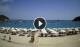Parga 08.06.2025 16:24