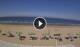 Silvi Marina 30.04.2025 16:24