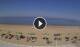 Silvi Marina 29.04.2025 16:24