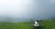 Rogno 14.06.2025 16:25