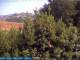 Bologne 14.06.2025 16:25