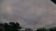Carrum 14.07.2025 16:31