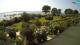 Fasana 14.06.2025 16:25