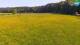 Medvode 30.04.2025 16:26