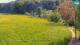 Medvode 30.04.2025 16:26