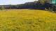 Medvode 10.05.2025 16:26