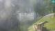 Postojna 08.06.2025 16:26