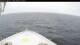 Norwegian Bliss 16.03.2025 16:27