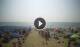 Tirrenia 08.06.2025 16:27