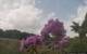 Montbliart 09.06.2025 16:28