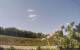 Montbliart 25.04.2025 16:28