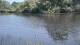 Les Landes-Genusson 30.04.2025 16:28