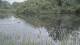 Les Landes-Genusson 12.05.2025 16:28