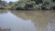 Les Landes-Genusson 01.07.2025 16:28