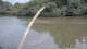 Les Landes-Genusson 14.07.2025 16:32