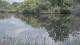 Les Landes-Genusson 08.05.2025 16:28