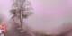 Lourdes 02.07.2025 16:28