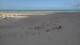 Dunkirk 08.07.2025 16:28