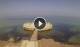 Avola 08.06.2025 16:28